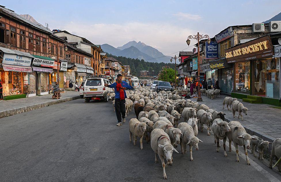 A man drives sheep through the main street in Pahalgam 