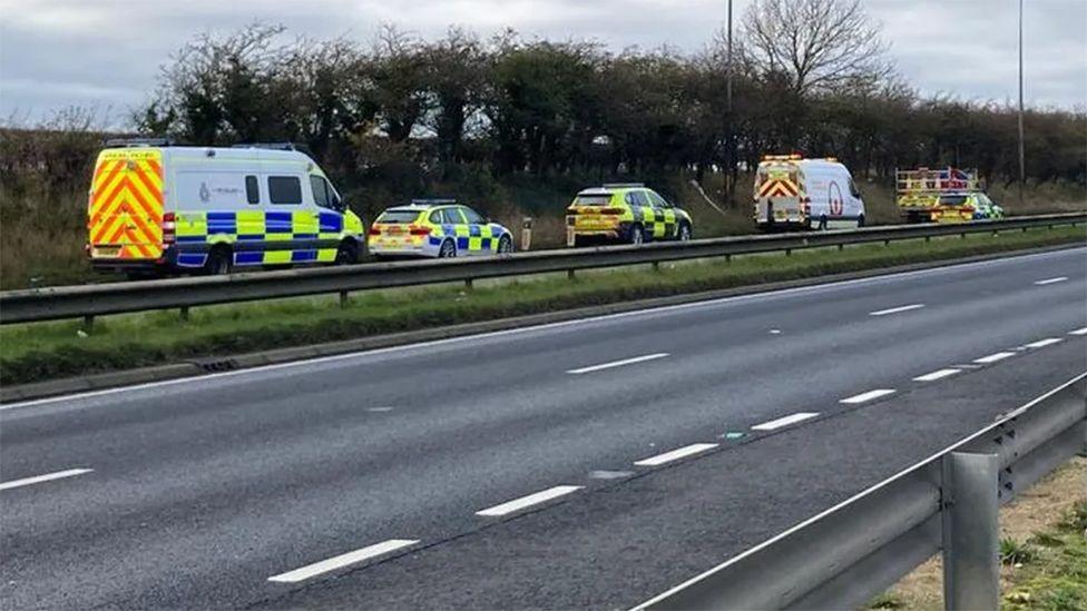 A line of police vehicles at the crash scene on the A63. They are on the far side of a central reservation and next the dual carriageway is a grass verge lined with trees