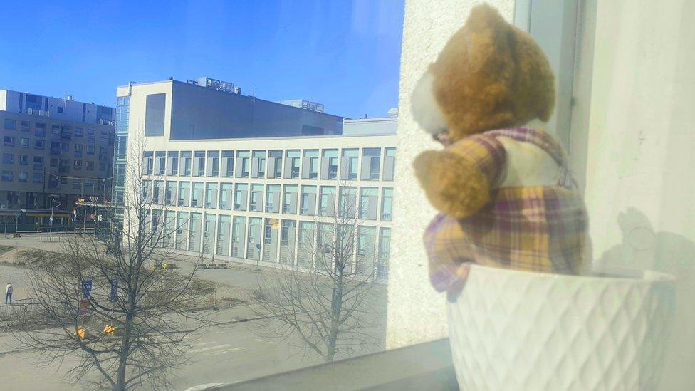 A bear on a windowsill in Helsinki, Finland