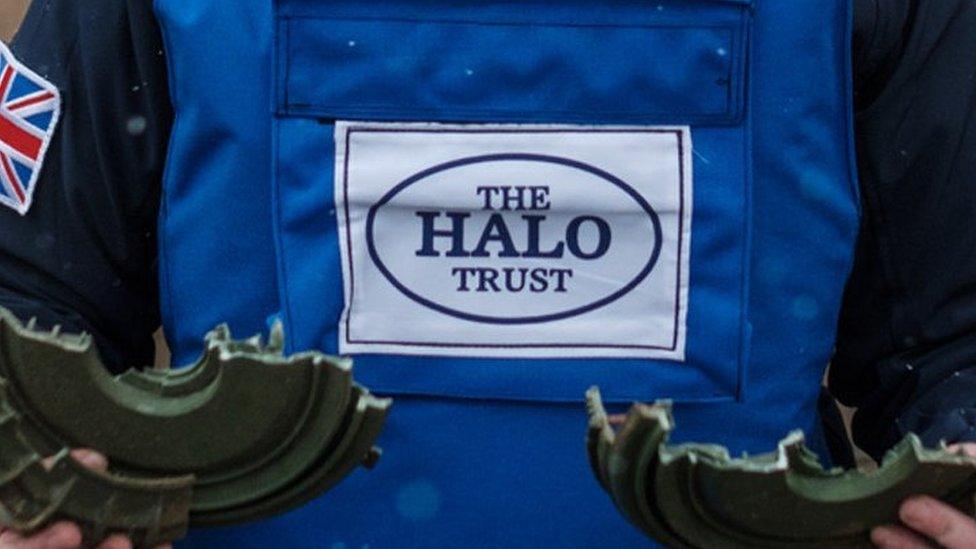 Halo Trust logo