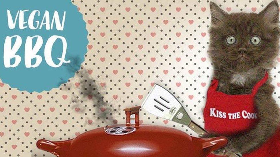 Cheltenham Cat Rescue promotion for their vegan cook-out