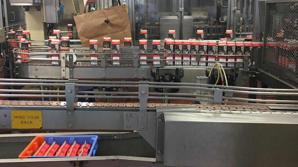 Milk being moved in cartons on conveyer belt.