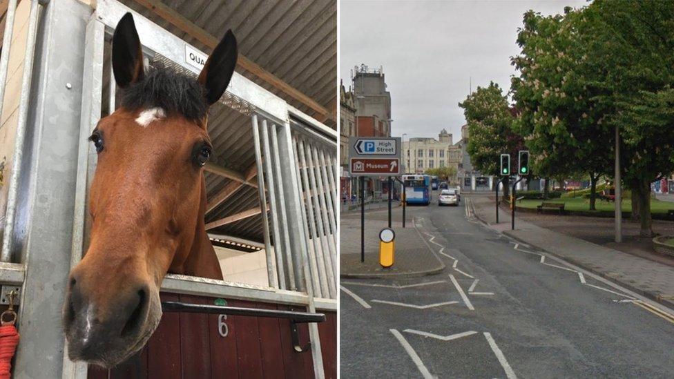 Quantock and Weston-super-Mare, Somerset