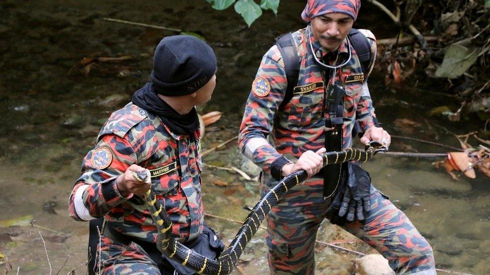 Searchers holding snake