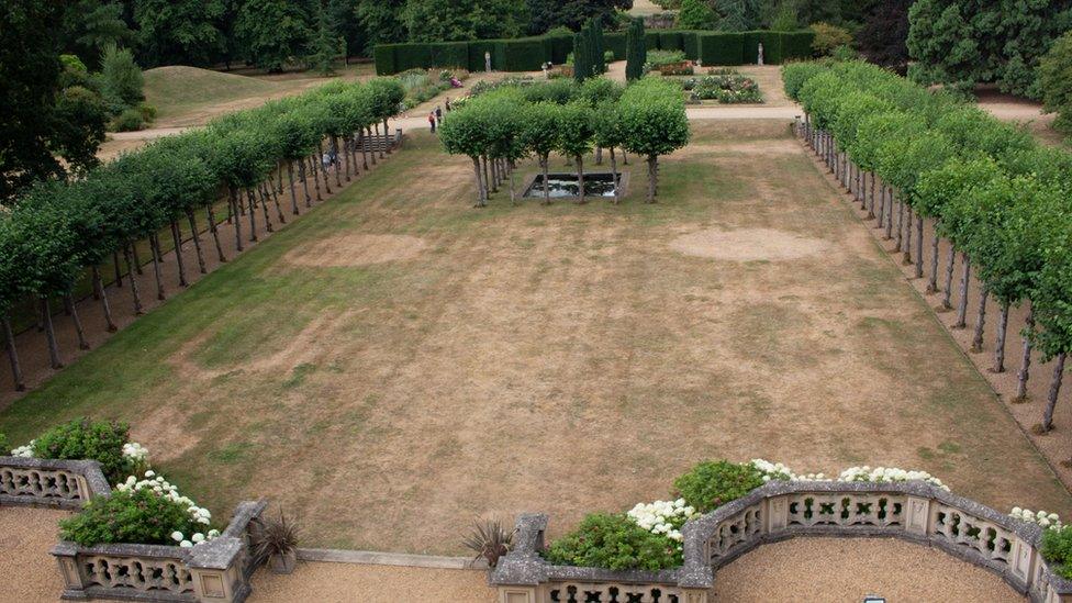 Knebworth House parterre