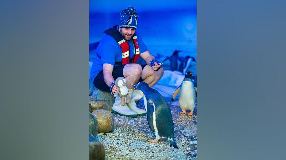 Trainer showing Daley the Penguin a knitted toy