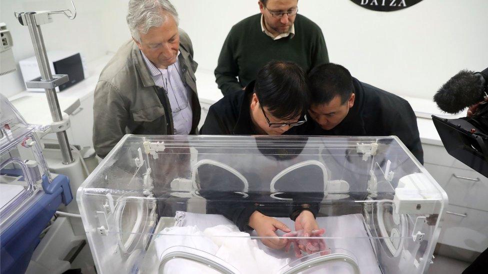 This handout picture taken and released on 2 June 2016 by the Paira Daiza shows people checking a newborn panda at the Paira Daiza zoological park.