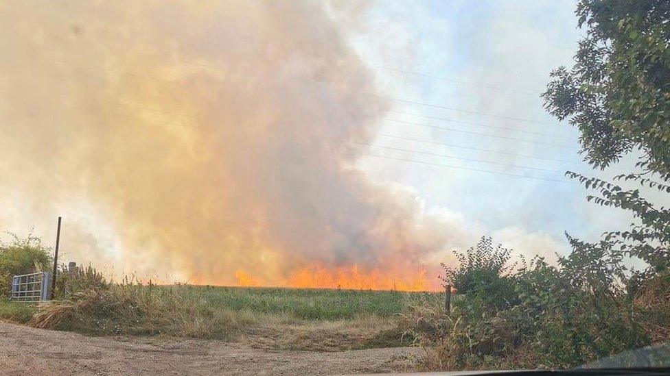 Fire in crop field at Springbottom Farm, near Wilsford