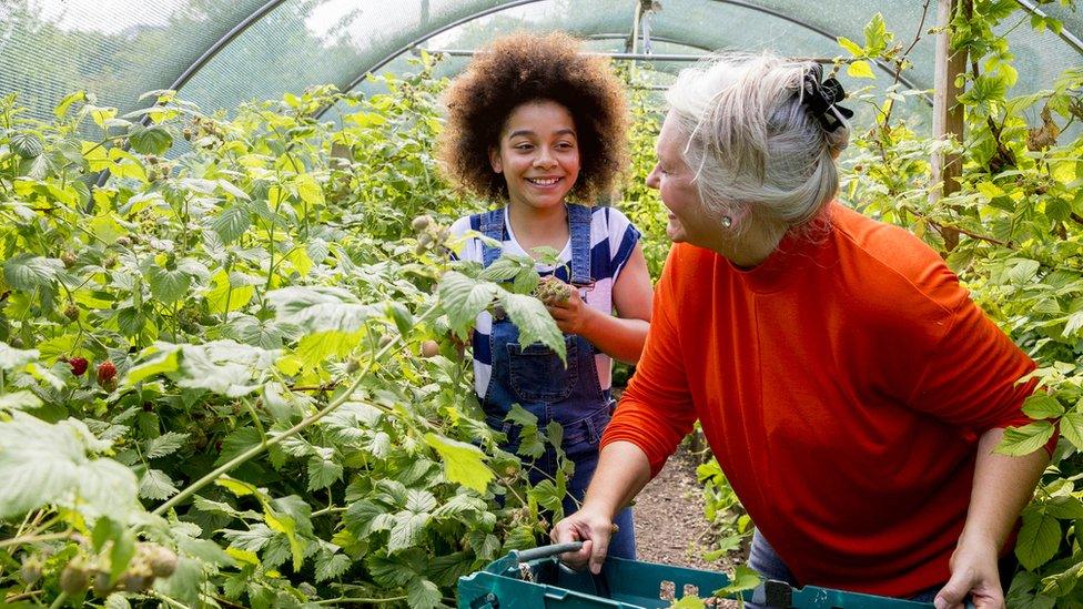 gardening-with-grandparent.