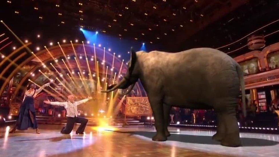 strictly-elephant