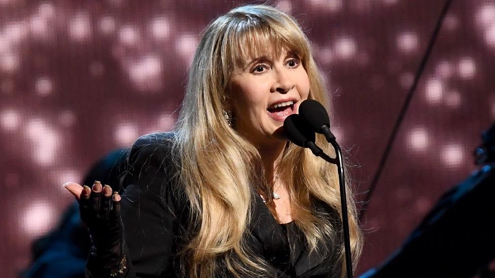 Stevie Nicks