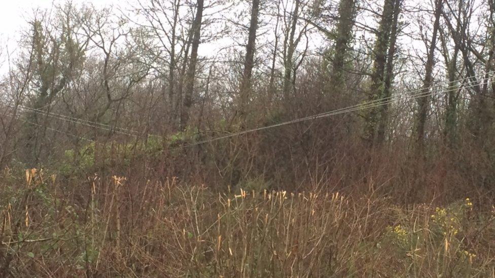 Power line, Tumble
