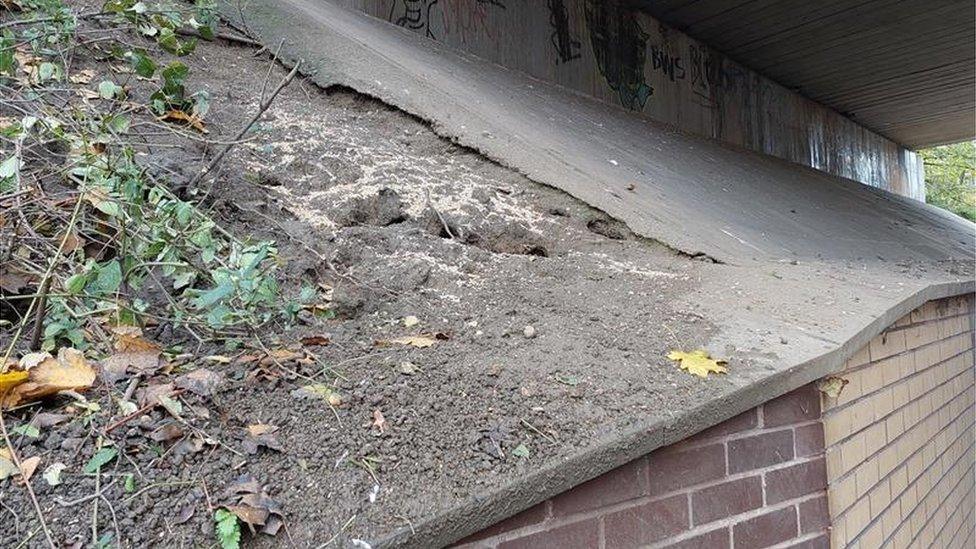 Rat holes under the bridge