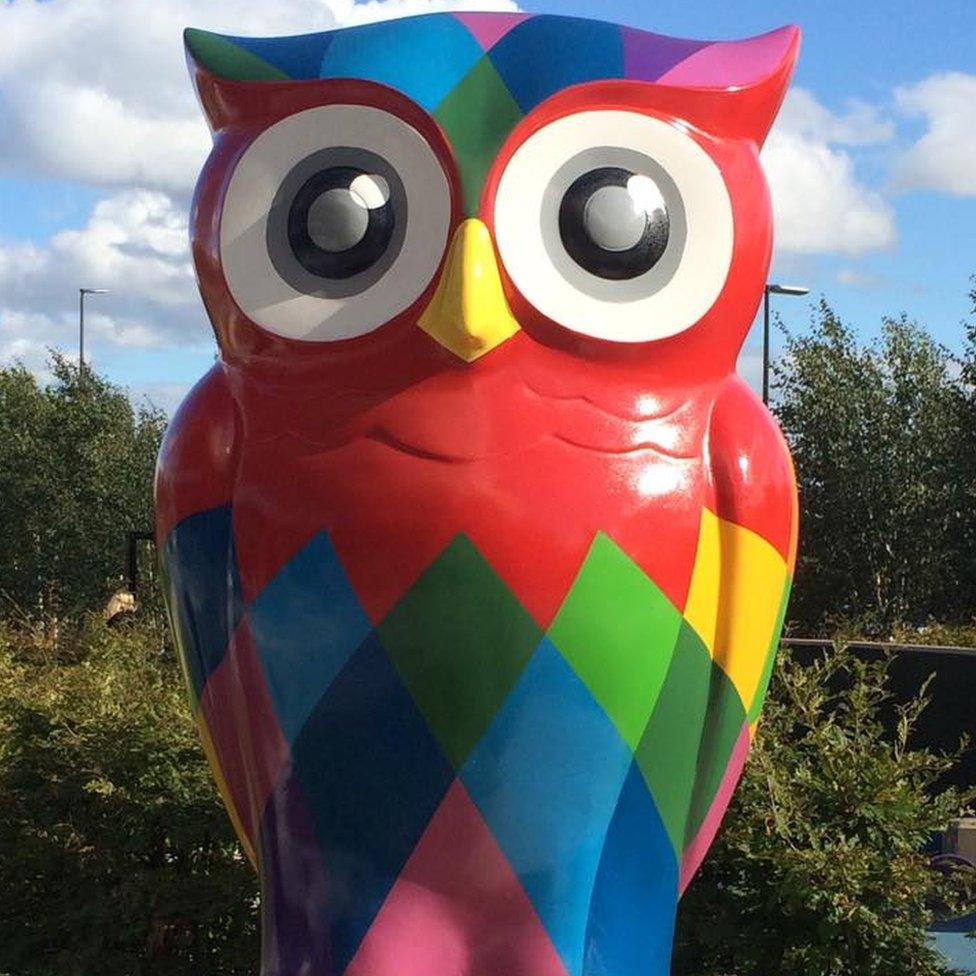 Image of the Big Hoot owl with bushes in the background on a clear day