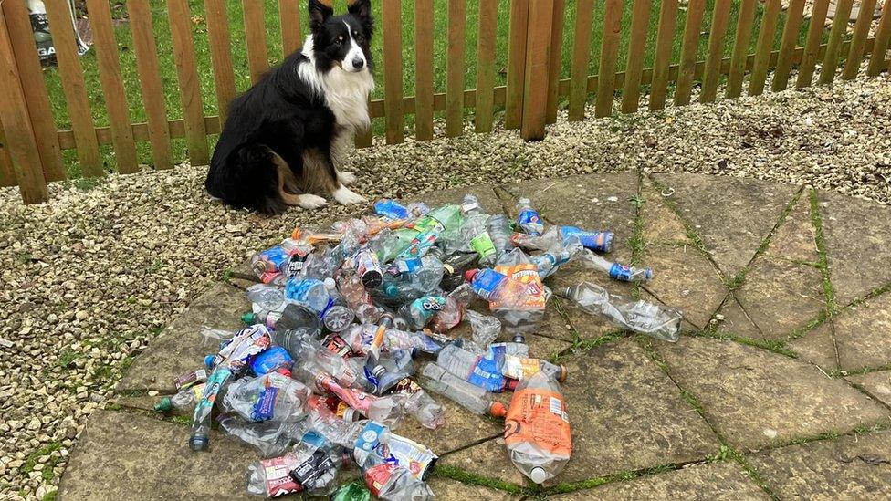 Scruff with November's haul of bottles