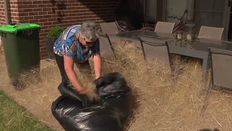 Frustrated residents are forced to clear out the weeds for several hours every day