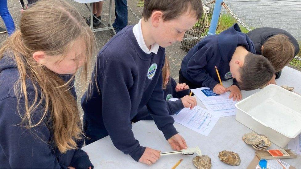 Children from Seaview Integrated Primary School in Glenarm