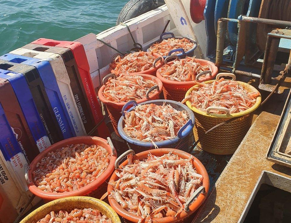 Prawns and shellfish