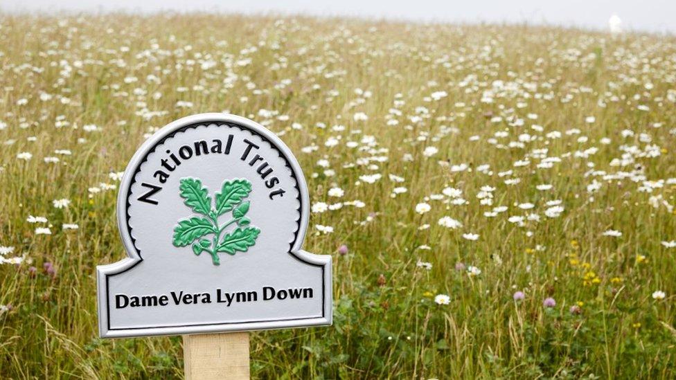 Dame Vera Lynn meadow