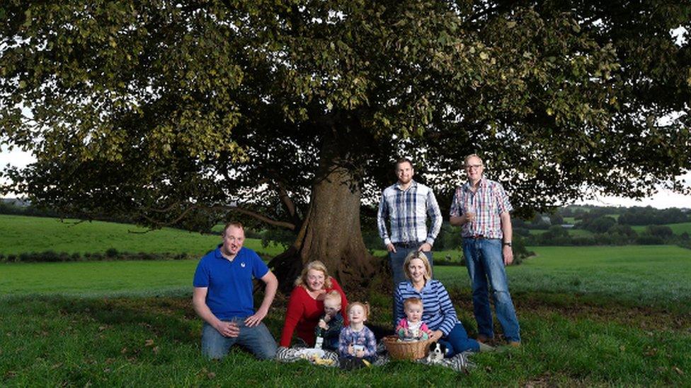 The Picnic Tree, Cloughbane Farm, Pomeroy, County Tyrone