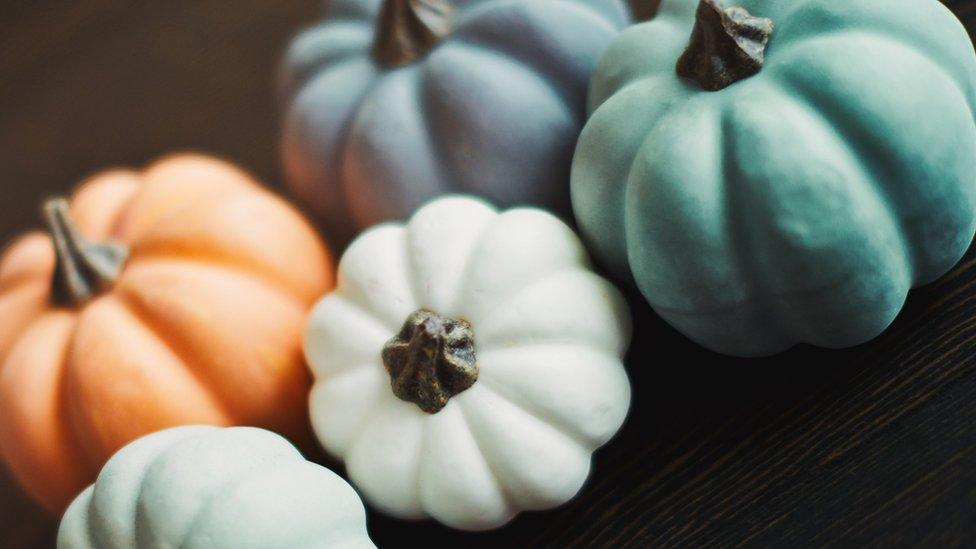 colourful-pumpkins.