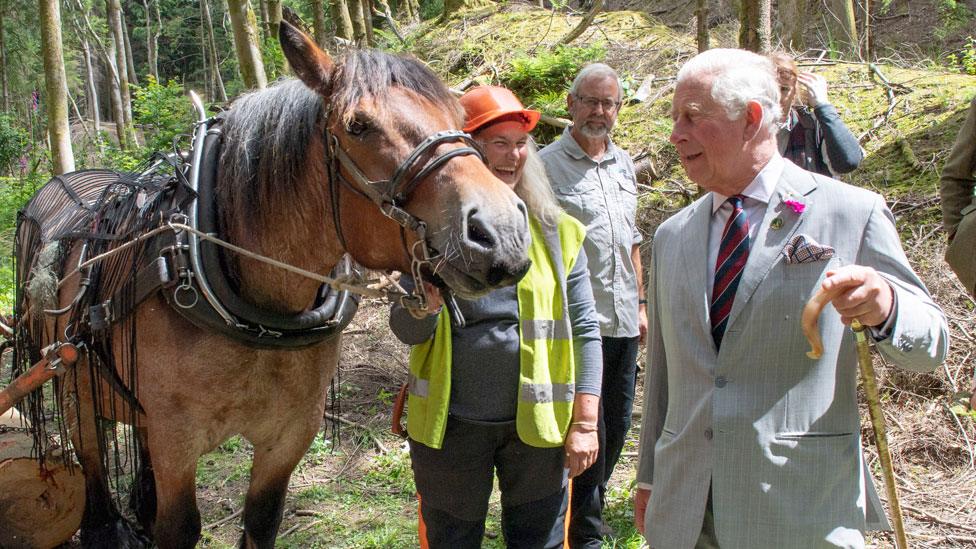 Prince Charles with horse loggers in Llantrisant