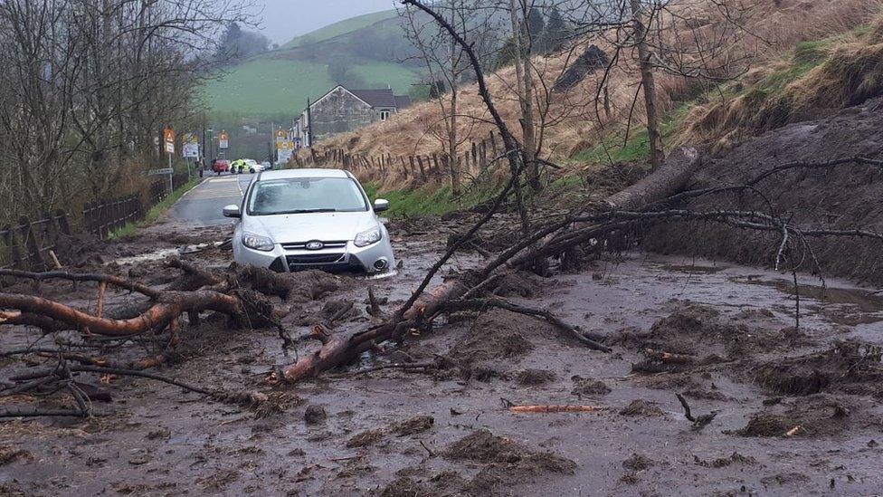 car stuck in mud and trees