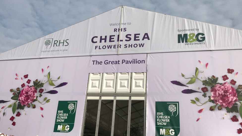 Chelsea Flower Show