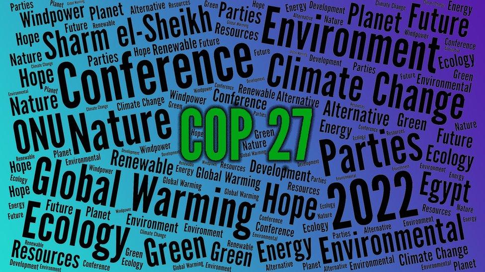 COP27 words