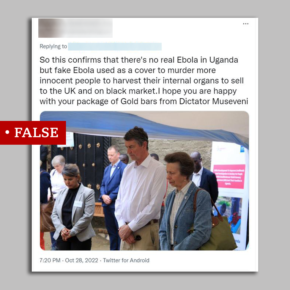 Screengrab of Princess Anne visited labelled "false"