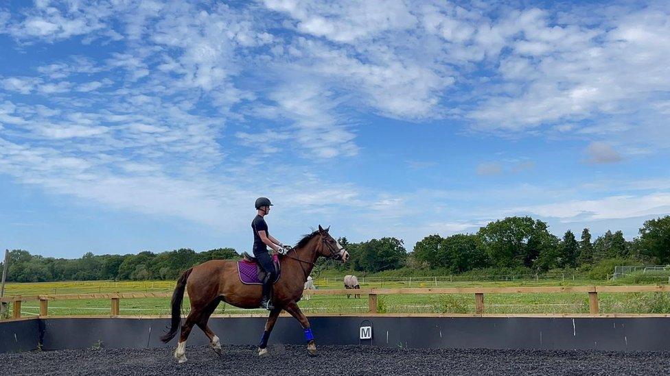 Hari on a horse