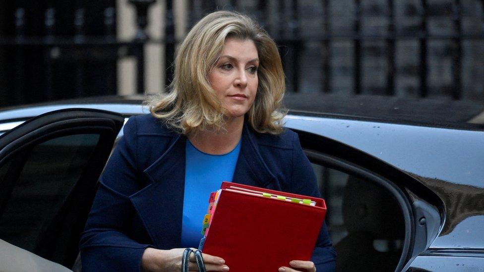 Penny Mordaunt pictured outside Downing Street