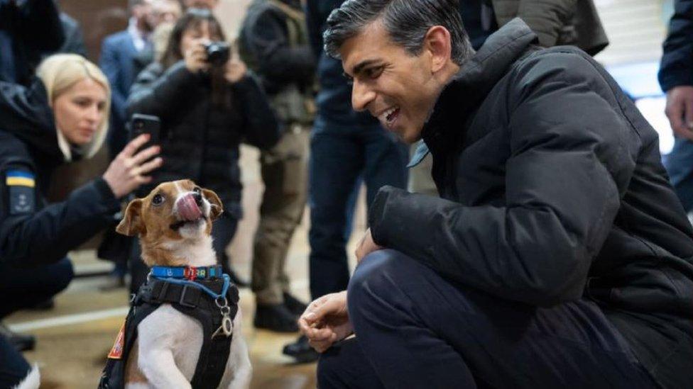 UK Prime Minister Rishi Sunak kneels opposite Patron the dog