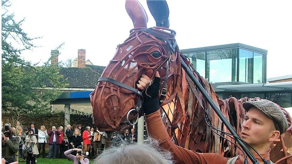 War Horse at the opening of Cotswold Hare Trail in Woodstock Museum.