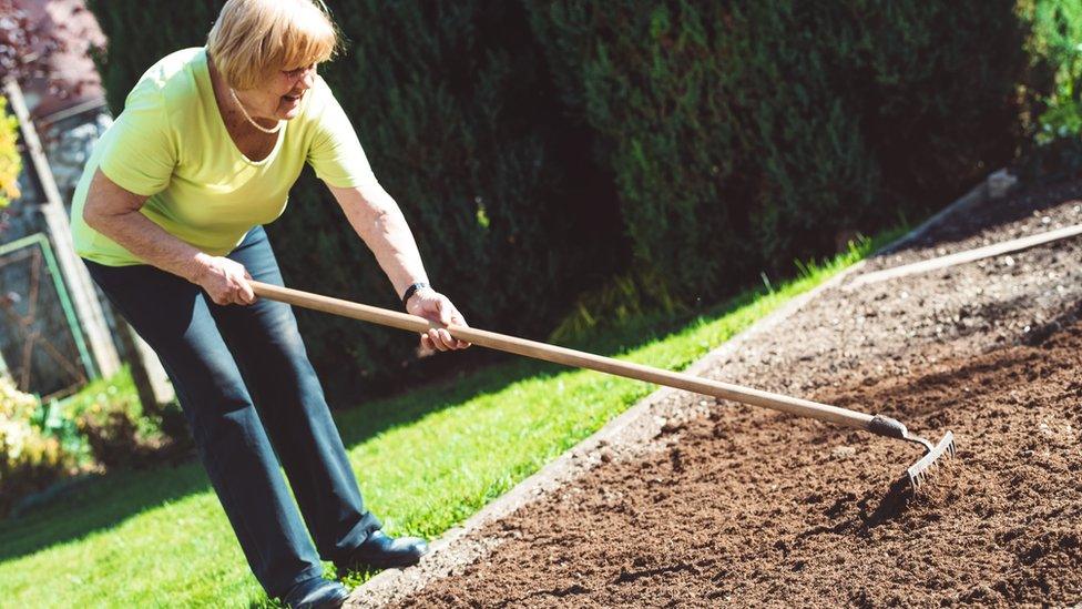 Raking the garden