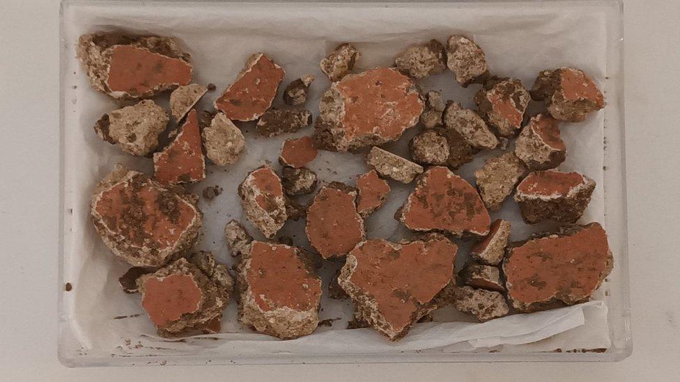 Fragments of Roman painted wall plaster