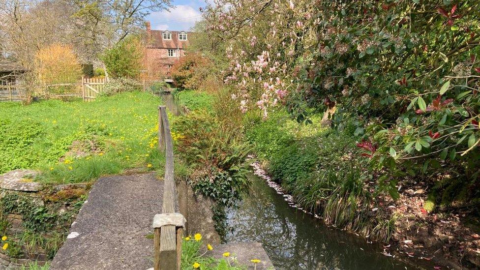 Views of the garden showing a river