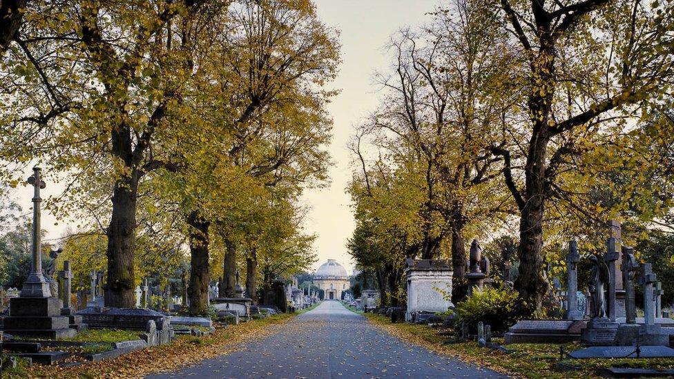 View of Brompton Cemetery in Autumn