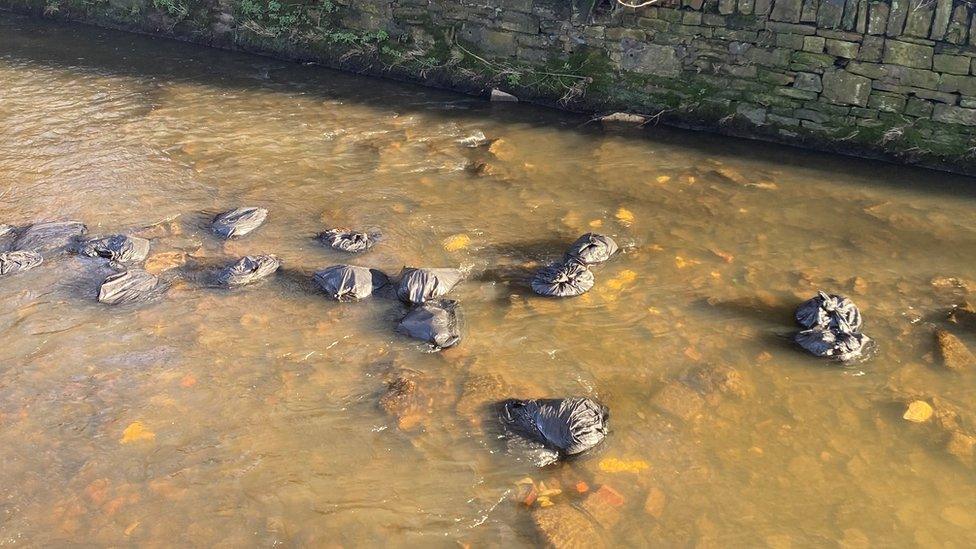 Cannabis waste n Sheffield's River Sheaf