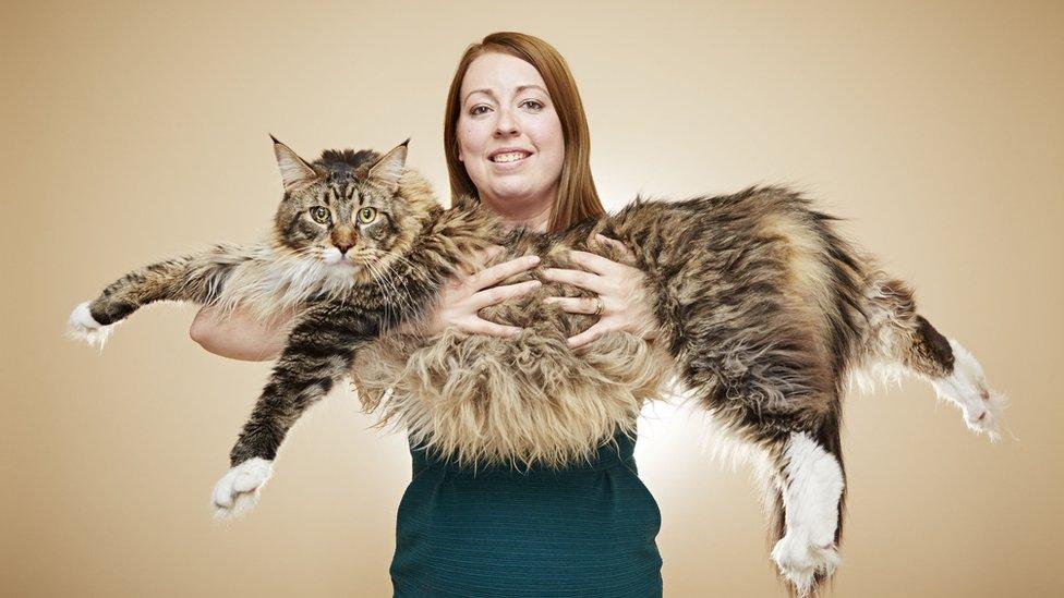 Woman with very long cat