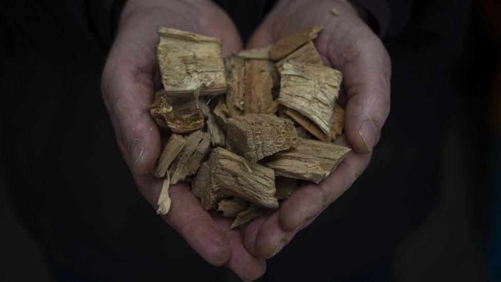 Hand holding woodchips