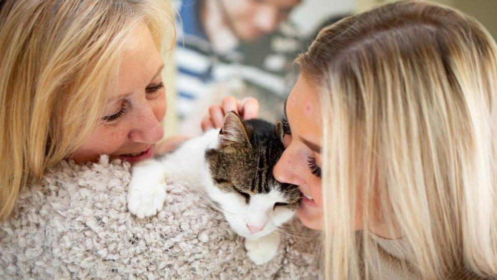 Peanut cat with owners