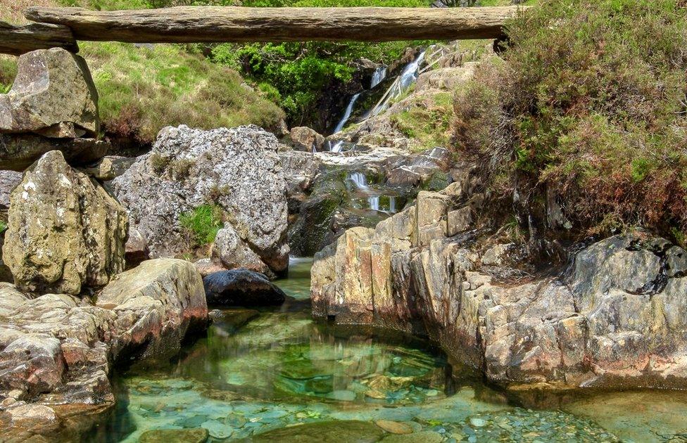 A log over a clear pond in Snowdon