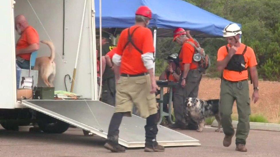 A team of rescuers with hard hats and dogs, pictured in a still from Reuters video footage