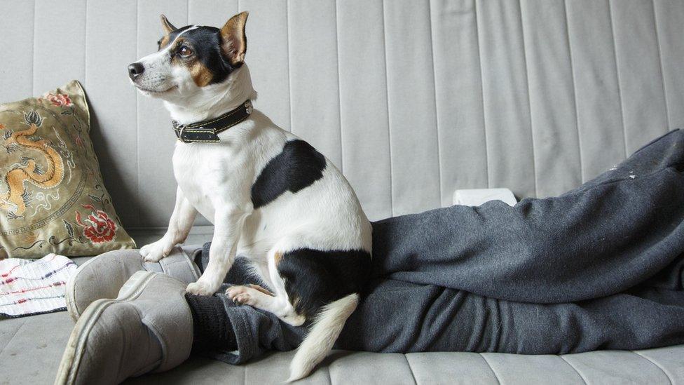 Lily sitting on Max's legs whilst he is lying on the couch