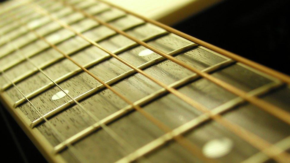 Guitar frets