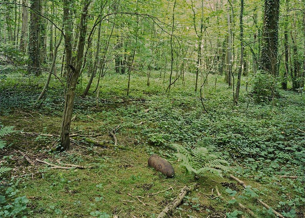 Ffrwydryn yng nghoed Mametz