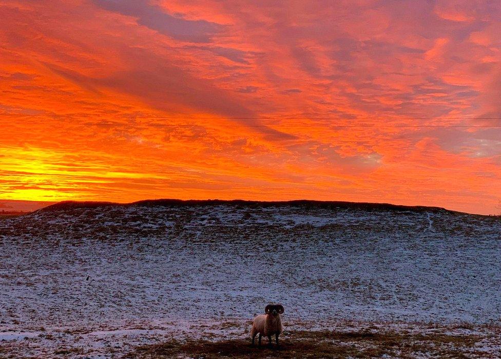 Mearns sunrise