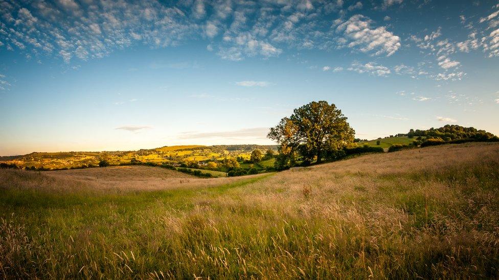 Cotswolds