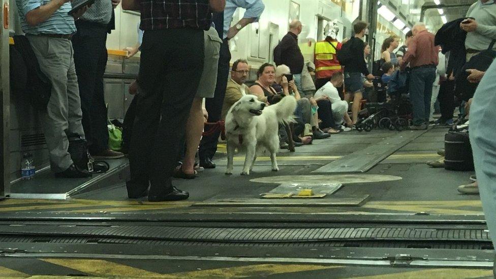 Passengers in the Channel Tunnel